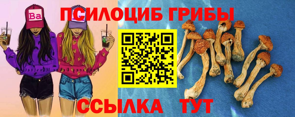 Егорьевск  Галлюциногенные грибы Psilocybe  Псилоцибиновые грибы Psilocybine cubensis  как найти закладки  Вход с VPN 